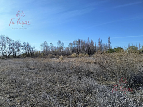 Oportunidad Inversion, Venta Chacra Ubicada En Colonia San Francisco 1,8 Ha