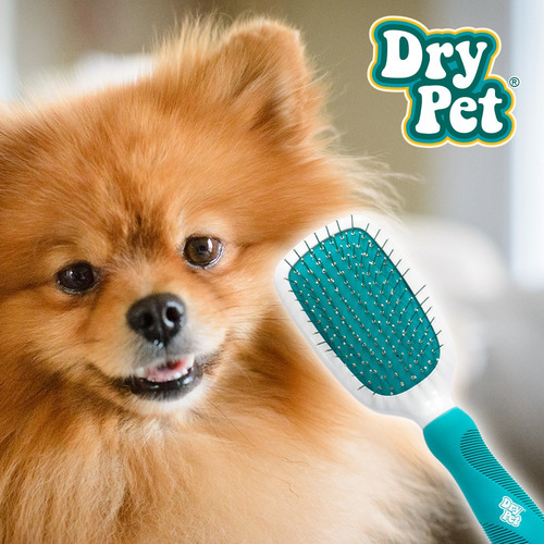 Cepillo Para Perro Cepillo Doble Para Perro Gde Dry Pet Color Agua