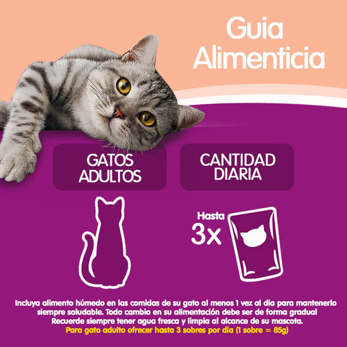 Whiskas Alimento Húmedo Sobrecito Gato Salmón Salsa 12 Un