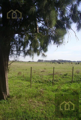 Imagen 8 de 15 de Campo Premium Para Country - Barrio Privado