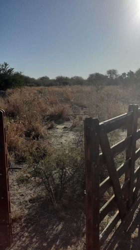 Imagen 2 de 3 de Lote En Venta En Carpinteria.