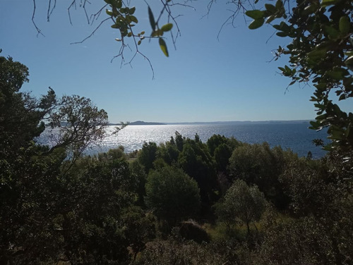 Parcela En Venta En Futrono - Llifen - 1.05 Hectáreas C/rio