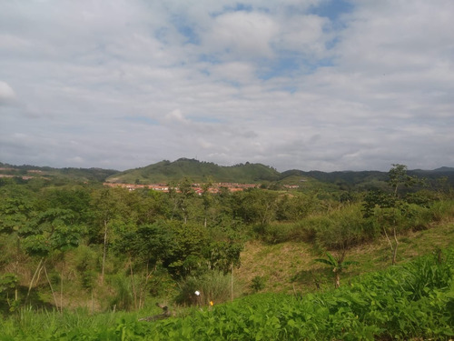 Venta Terreno De 71 Hectáreas Para Proyecto Residencial En Corredor De Los Pobres, Panamá Norte