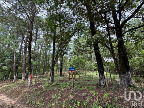 Venta Terreno 0 Ambiente Chijiltec (san Isidro)