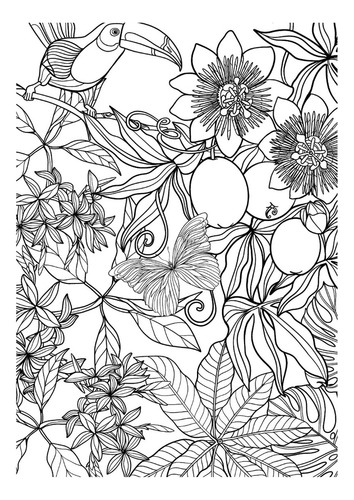 Exotic Jungle | Libro Anillado Colorear Pintar Fibra | Thoc