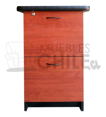 Kardex 2 Cajones Carpetero Para Oficina / Muebleschile