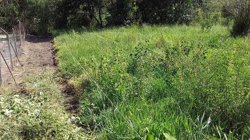 Imagem 4 de 12 de Terreno De Chacará Colina 2 Monte Mor - Vendo Ou Troco