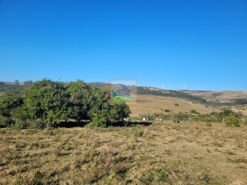 Imagen 8 de 20 de Chacra 14 Hás Con Casa Y Galpón Maldonado