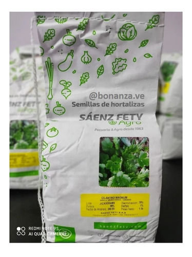 Semillas De Cilantro Mágnum X 1 Libra Saenz Fety