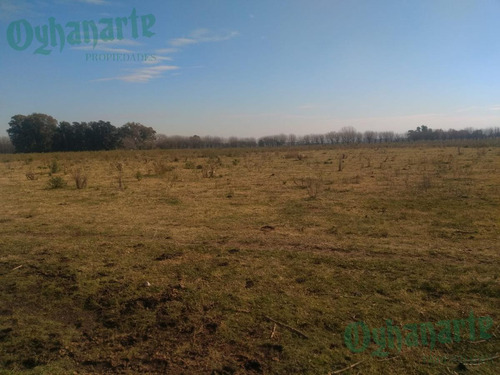 Imagen 15 de 21 de Venta De Campo De 23 Hectáreas En General Rodriguez.