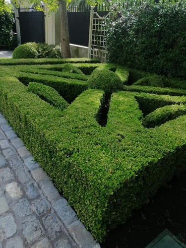 Imagen 4 de 10 de Jardineria, Areas Verdes, Podas, Empresa Reglamenta Sedilor