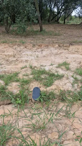Terreno Localizado No Residencial Ecopark - Tatui