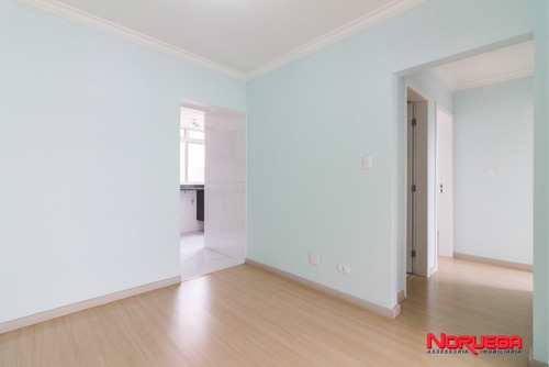 Imagem 6 de 20 de Apartamento Para Venda - 11688.001