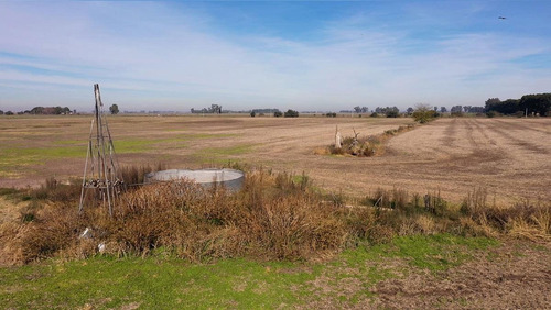 Imagen 4 de 4 de Campo Mixto De 60 Has A La Venta En Navarro