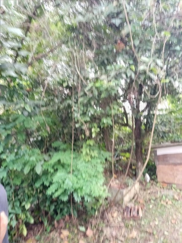 Imagem 4 de 30 de Oportunidade - Sp Capital - 75487