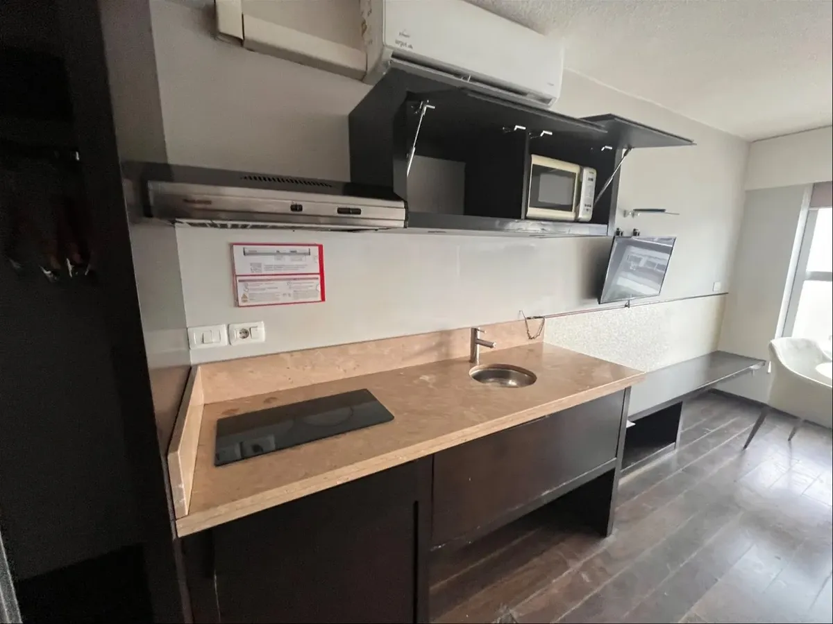 Alquiler Promociones Hasta 15 De Noviembre !, Monoambiente Amueblado ,punta Carretas · Foto 3