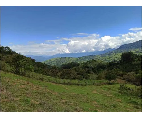 Vendo Finca De 18 Cuadras Para Ganado Y Cerdos A 15 Minutos D Fredonia