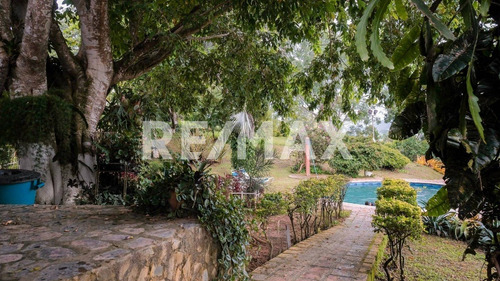 Imagen 11 de 15 de Finca En Venta De 2 Hectareas En Bejuma Carabobo Cód 152172 Acv
