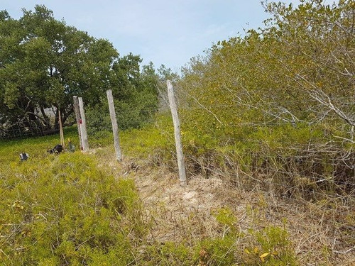 Imagen 2 de 3 de Terreno En Holbox