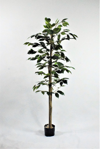 Arbol Ficus Plantas Artificiales . Regalosdeco