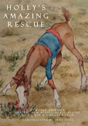 Libro Holly's Amazing Rescue - Roger Shinnick