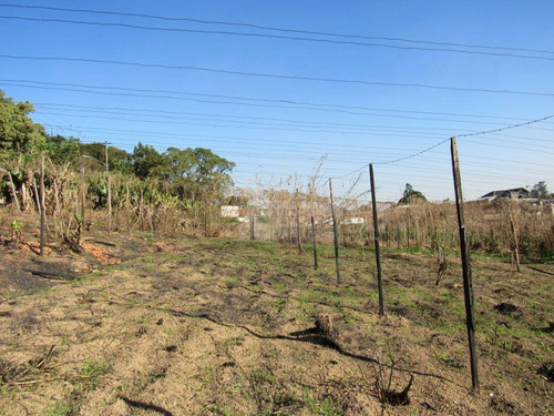 Imagem 9 de 26 de Terreno À Venda, 14900 M² Por R$ 9.000.000,00 - Jardim São João (zona Norte) - São Paulo/sp - Te0138