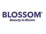 Blossom Beauty in bloom