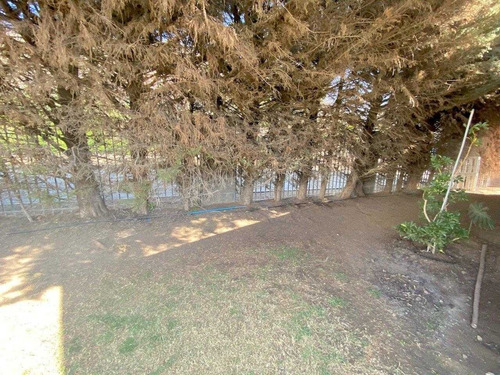 Imagen 6 de 25 de Chamisero, Chicureo Oriente