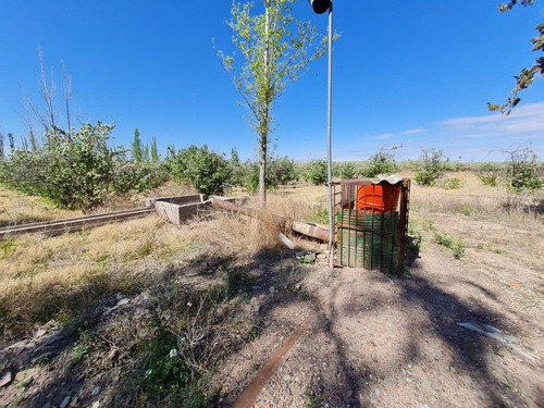 Imagen 10 de 14 de Finca De 75 Has. En Rodríguez Peña, Junín