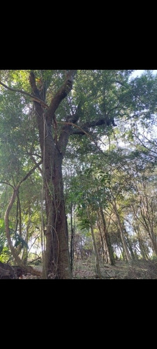 Imagen 11 de 13 de Chacra,campo Muy Centrica A 4km Del Centro De Jardin Americo