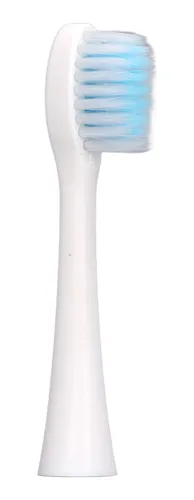 Cepillo De Dientes Eléctrico Automático Ipx7 A Prueba De Agu