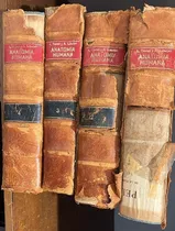 Comprar Testut - Latarjet - Tratado De Anatomía Humana (4 Tomos)