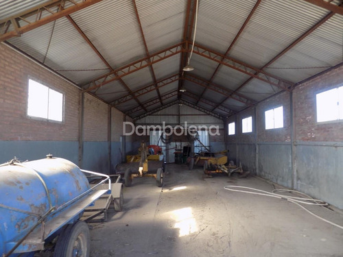 Imagen 14 de 27 de Terreno Campo En Venta En Carmen De Areco, Resto De La Provincia, Buenos Aires