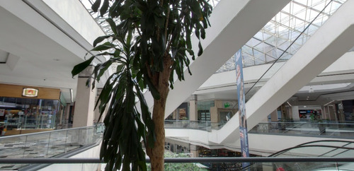 Local Centro Comercial Interlomas, Atencion Inversionistas!!!