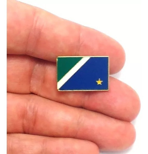 Imagem 2 de 5 de Pim Bótom Broche Bandeira Estado Mato Grosso Do Sul Folheado