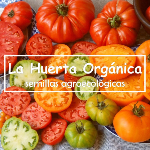 Semillas Tomate San Marzano Italiano! Tradicional De Salsas!