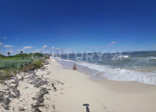 Oportunidad!!se Vende Terreno Frente Al Mar Mahahual-rio Indio P1200