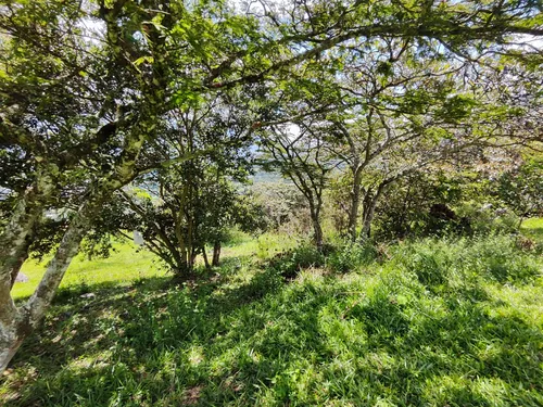 Lote En Girardota En El Limonar