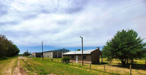 Nave Industrial - Zarate
