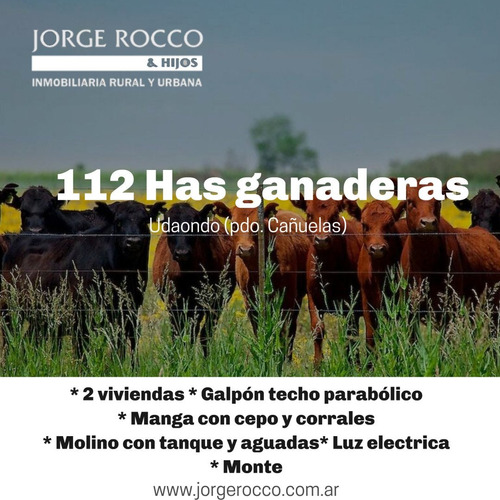 Campo En Venta En Gobernador Udaondo, Cañuelas. 112 Has Ganadero