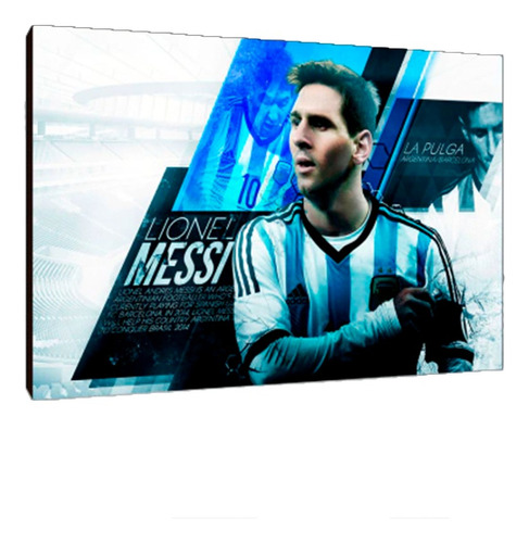 Cuadros Poster Deportes Futbol Argentina S 15x20 (fsa (7))