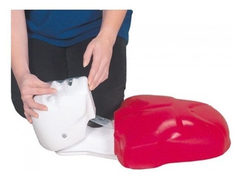 Imagen 3 de 6 de Torso De Rcp Basic Buddy. Muñeco Adulto