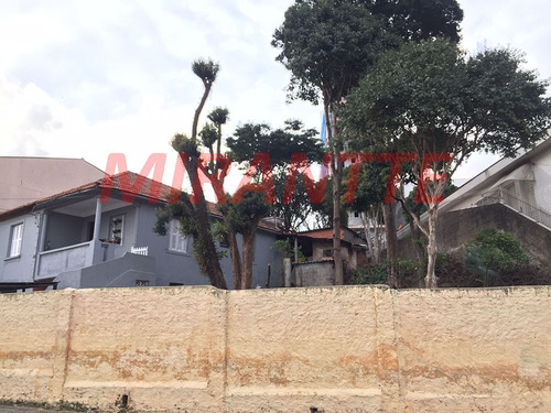 Imagem 9 de 12 de Terreno Em Vila Maria - São Paulo, Sp - 343526
