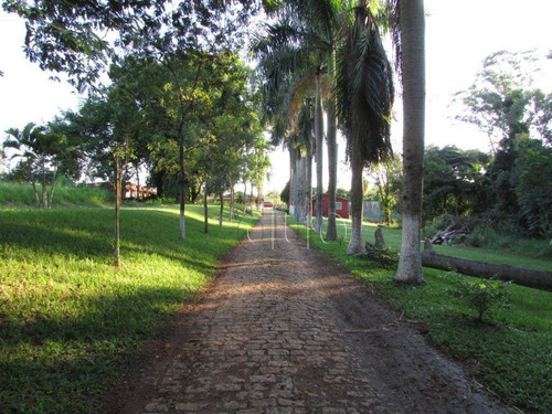 Imagem 6 de 30 de Chácara, 36601 M² - Venda Por R$ 5.000.000,00 Ou Aluguel Por R$ 12.000,00/mês - Conceição - Piracicaba/sp - Ch0074