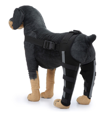 Protector De Patas Traseras Para Mascotas, Talla Xs