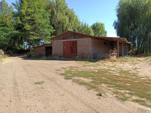 Terreno Agrícola En Venta, Campo De 60 Ha, Teno