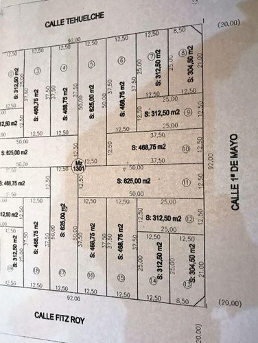 Lote | Tehuelche