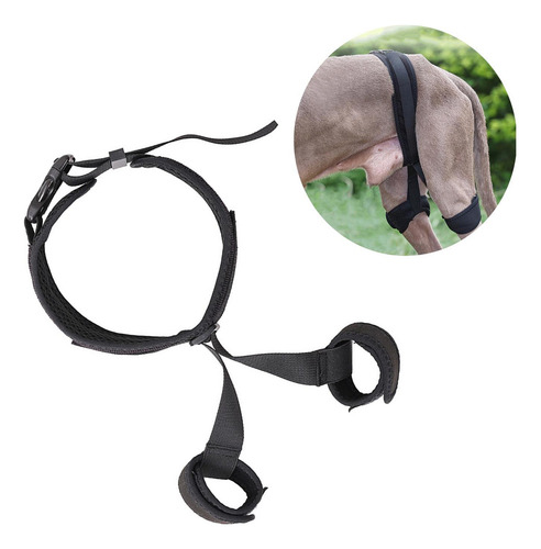 Soporte De Cadera Para Perro Para Patas Traseras Soporte S