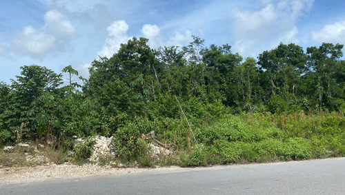 Imagen 5 de 13 de Terreno Venta Cancun Doctores 2500m2