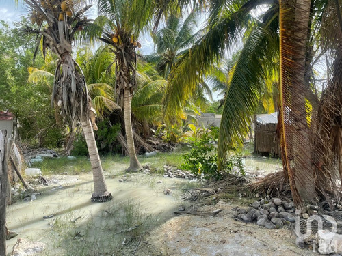 Venta Terreno 0 Ambiente Isla De Holbox